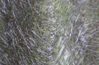 Bierley fibreglass roof work